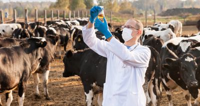 Top universities join APHA’s surveillance network for livestock disease