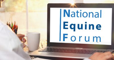 Programme released for 29th National Equine Forum