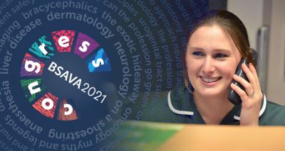 BSAVA survey results inform 'lockdown lessons' session at Virtual Congress