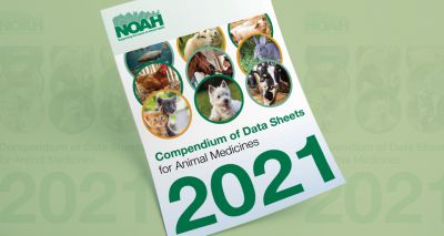 2021 NOAH Compendium now available