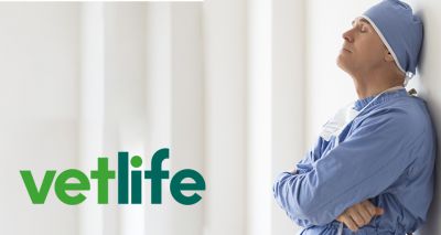 Vetlife welcomes consultation on legislative reforms