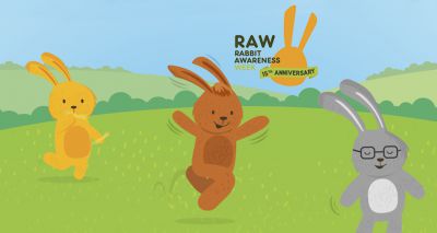 Rabbit Awareness Week launches 2021 campaign