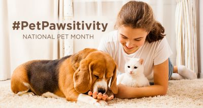 National Pet Month gets underway