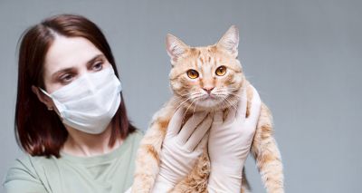 UK scientists identify two cases of human-to-cat COVID-19 transmission