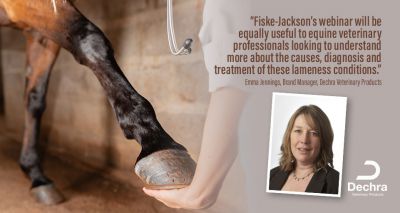 Webinars to explore the 'good, bad and the ugly' of equine lameness