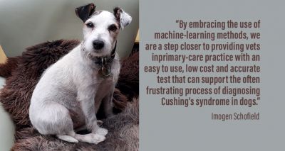 Vets use machine-learning to diagnose Cushing's in dogs