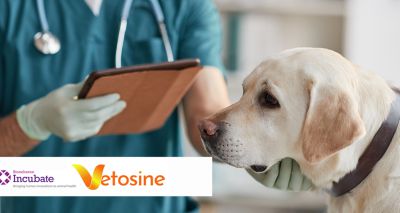 New company launched to tackle canine osteoarthritis