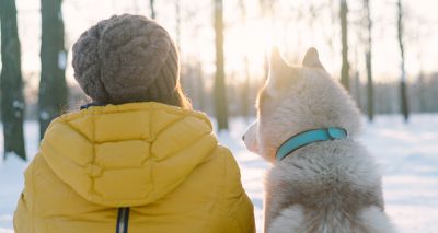 Long-term stress in dogs linked to relationship with owner, study finds