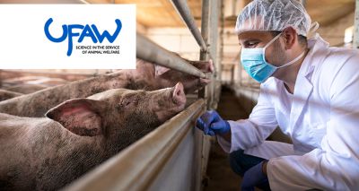 UFAW announces eighth animal welfare science conference