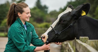 Plans for new vet school in Scotland