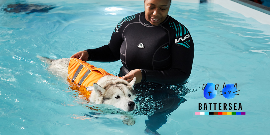 New hydrotherapy centre opens at Battersea