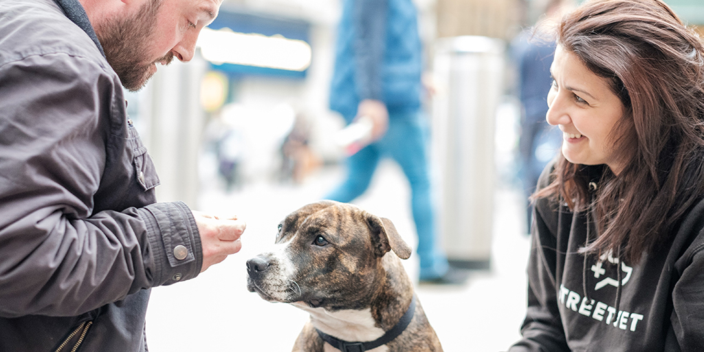 Homeless pets charity receives funding boost