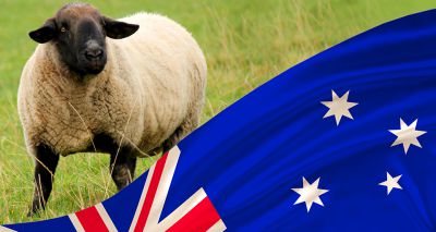 Vets raise concerns over UK-Australia trade deal