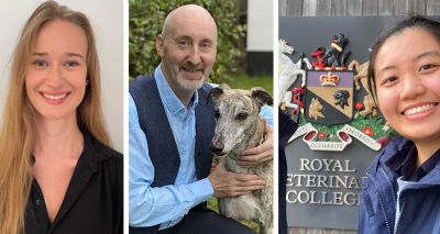 RVC celebrates wins at prestigious canine health awards