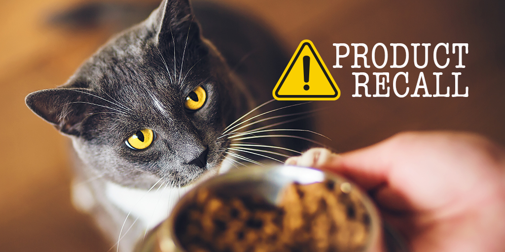 Cat food recalled over link to pancytopenia