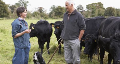 Annual vet visits ‘crucial’ to farm animal health and welfare