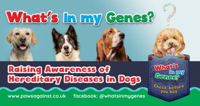 Competition to raise awareness of hereditary diseases in dogs