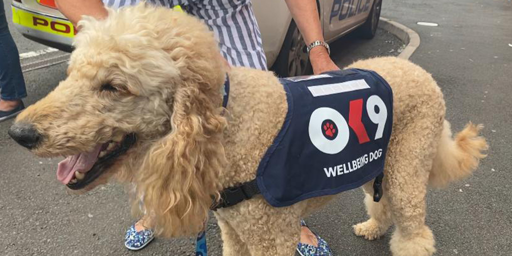 New wellbeing support dogs for Cleveland Police