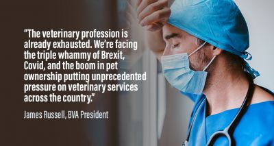 BVA president speaks out about ‘exhausted’ profession