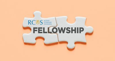 RCVS welcomes 38 new Fellows