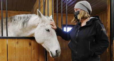 Equine vets 'at risk of overwork and burnout'