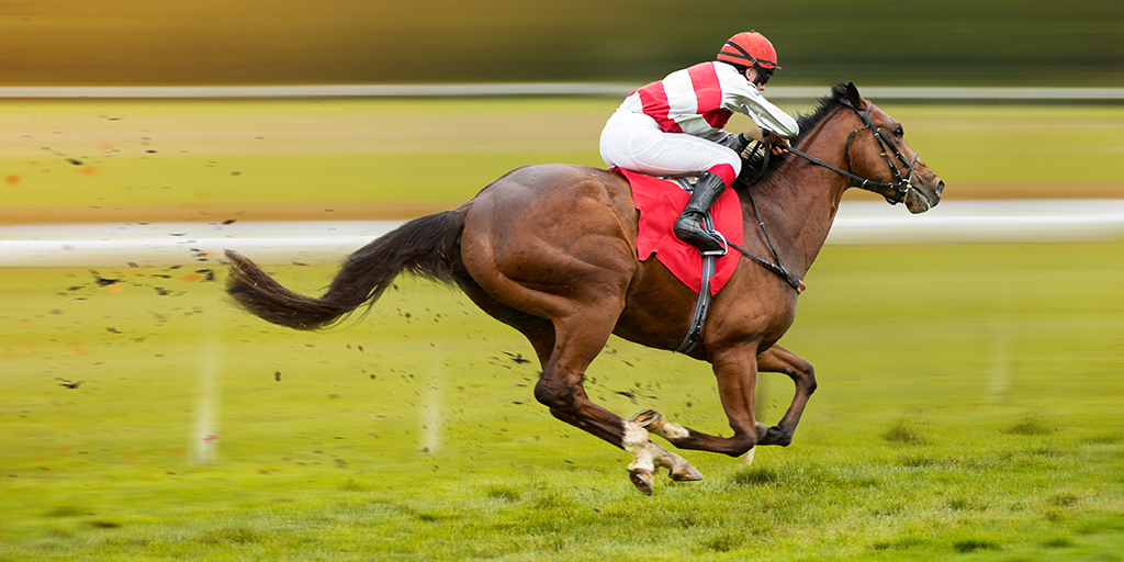 Collaboration uses magnetic resonance imaging in racehorse heath study