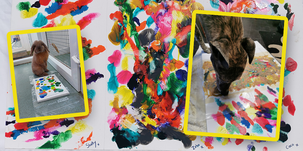 Rescue dogs create artwork for fundraiser