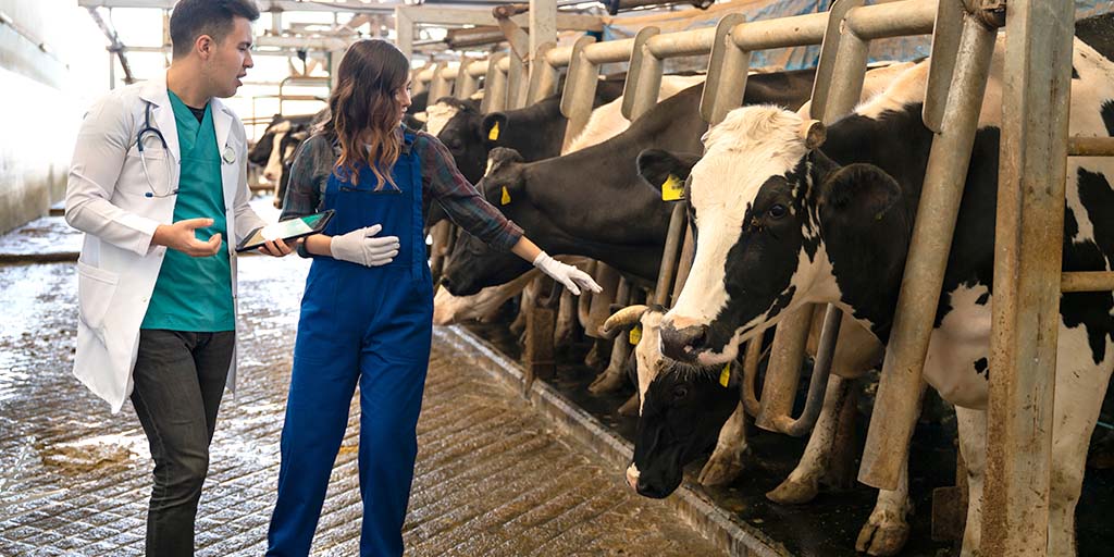 Nominations open for Young Dairy Vet of the Year 2022