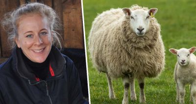 Blood tests reveal urgent need for pre-tupping vaccination