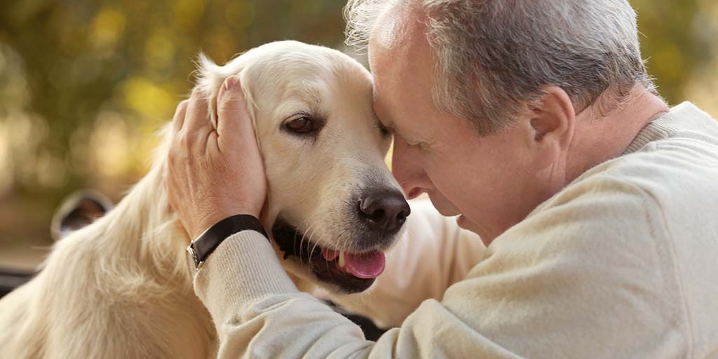 New study explores impact of pets on loneliness