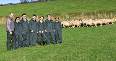 Wales' first vet students begin studies