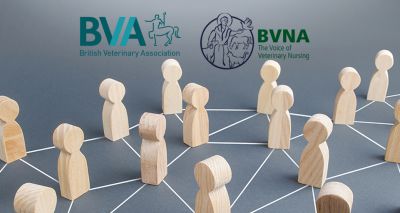 BVA and BVNA renew strategic partnership