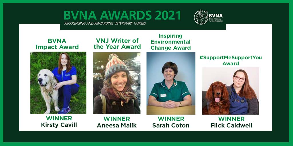 BVNA Award winners revealed at Congress