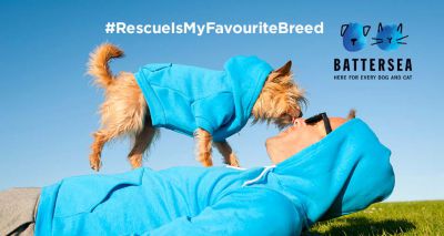 Battersea launches Wear Blue for Rescue campaign