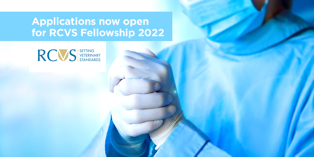 RCVS Fellowship applications open