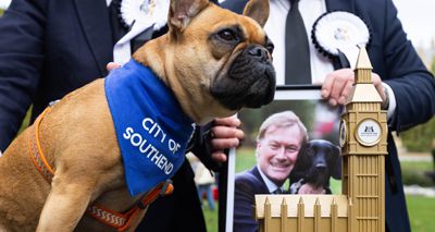 Sir David Amess' pet crowned Westminster Dog of the Year