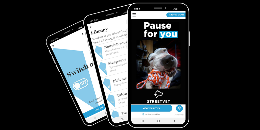 Kite Program funds mental health support app for StreetVet volunteers