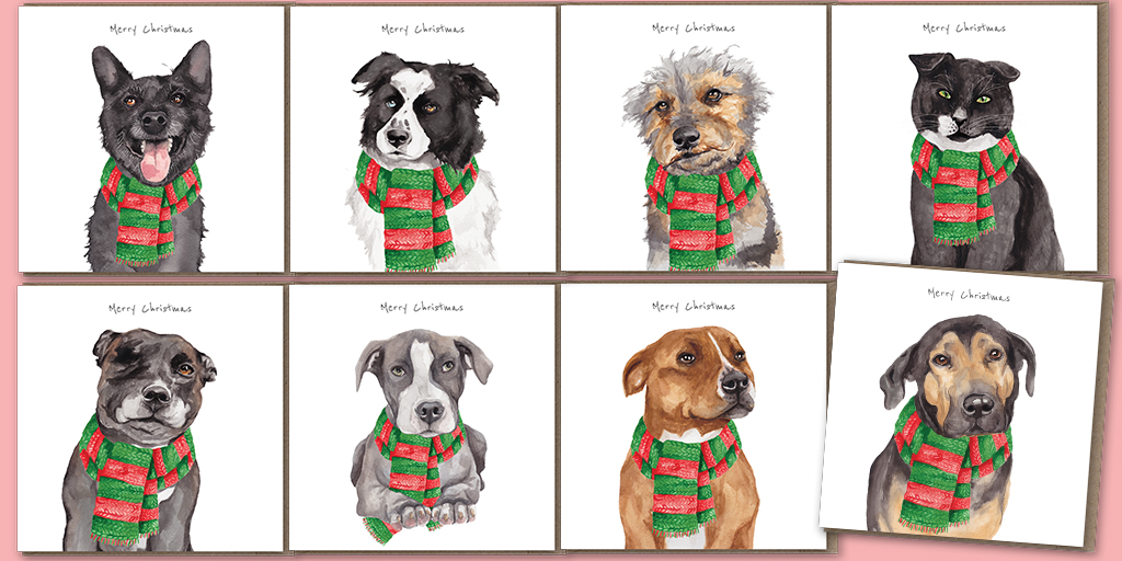 StreetVet launches charity Christmas cards