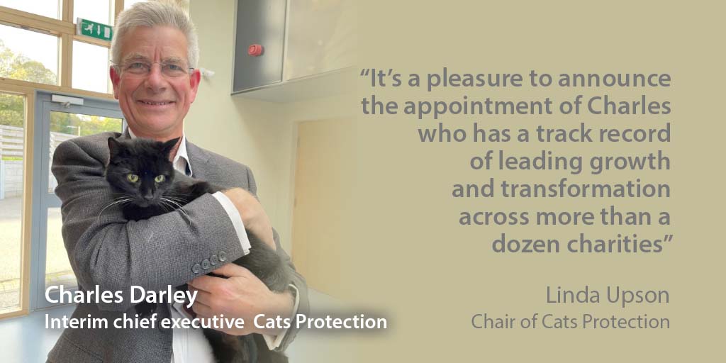 Cats Protection appoints new interim head