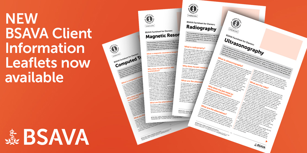 BSAVA creates diagnostic imaging leaflets for client use