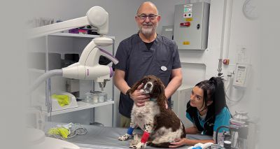 UK's first radiation therapy service for pets launches