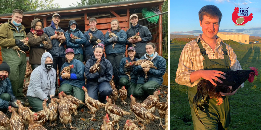 Vet students volunteer with BHWT