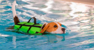 Study highlights risks of early hydrotherapy following spinal surgery