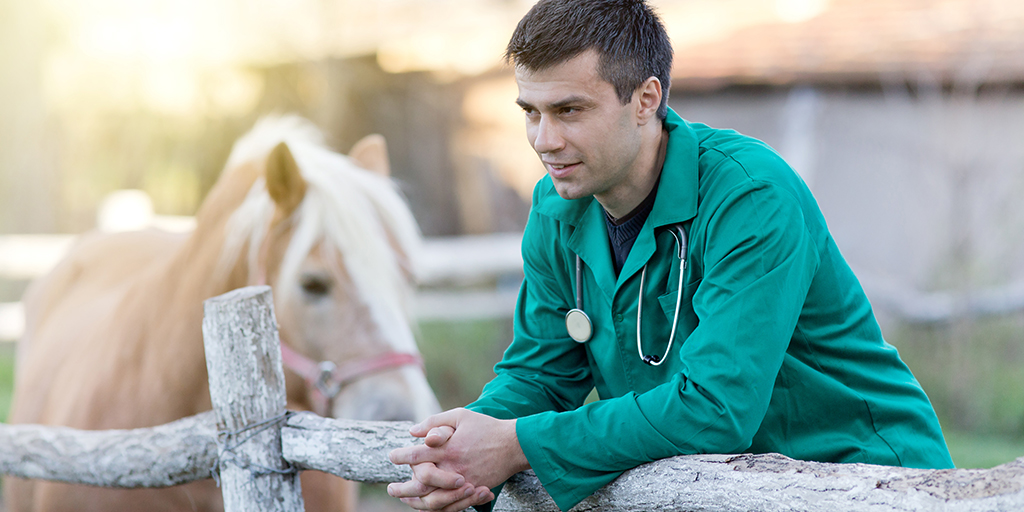 Study seeks autistic farm and equine vets