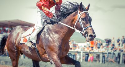 Study pinpoints risk factors for falls in eventing