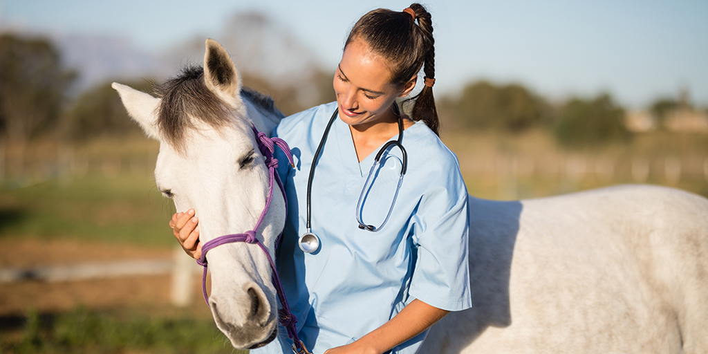 RVC and Penn Vet unveil new equine research scholarship