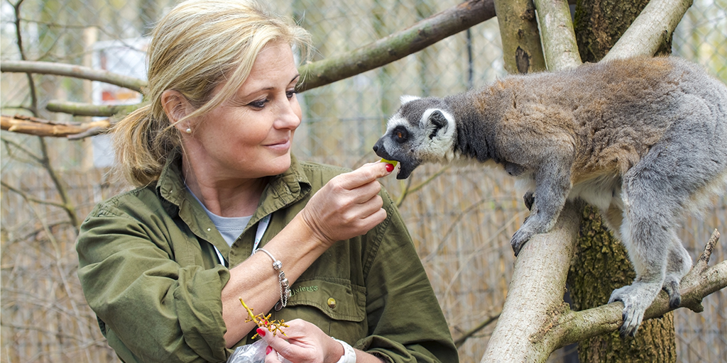 Zoo culture influences keeper-animal attachment