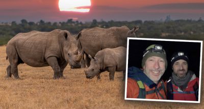 Vets in Arctic trek to help save the rhino