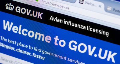 APHA launches avian influenza licensing service