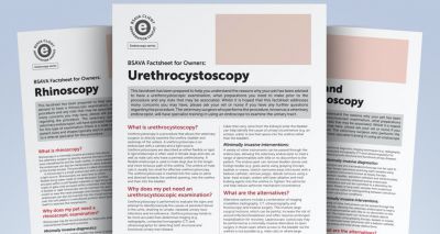 BSAVA adds endoscopy series to Client Information Leaflets